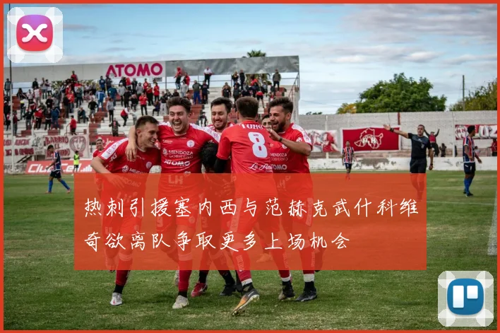热刺引援塞内西与范赫克武什科维奇欲离队争取更多上场机会